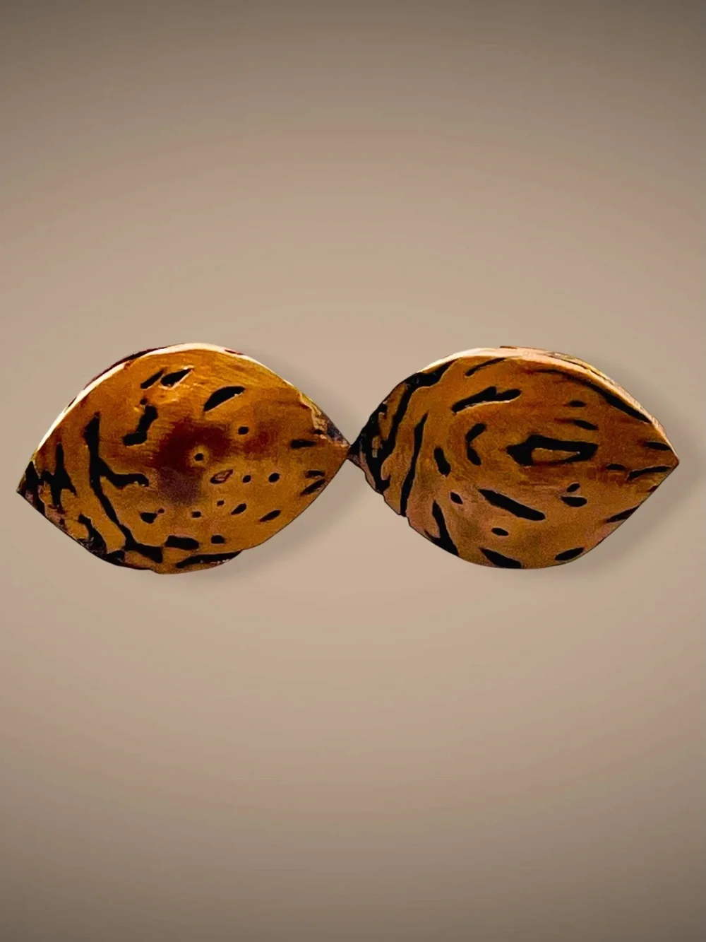 Rare Vintage Handmade Natural Seed Pod Bullet Back Cufflinks Speckled Organic